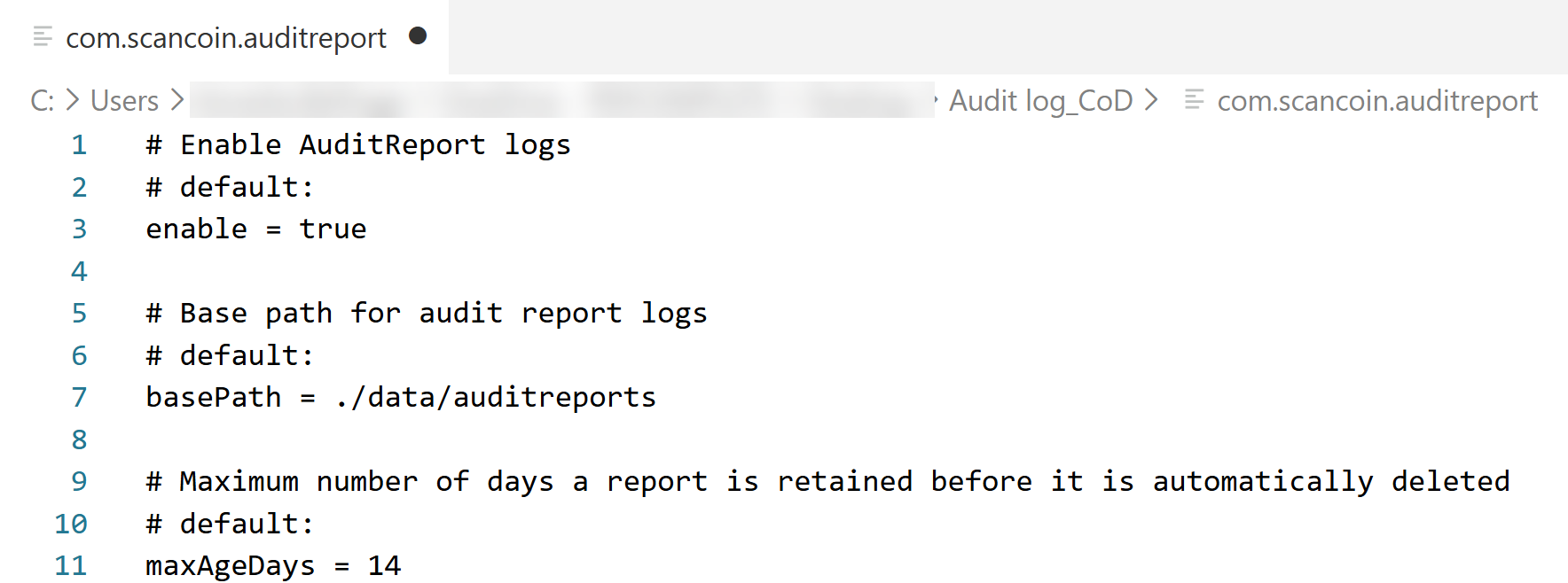 audit_report.png